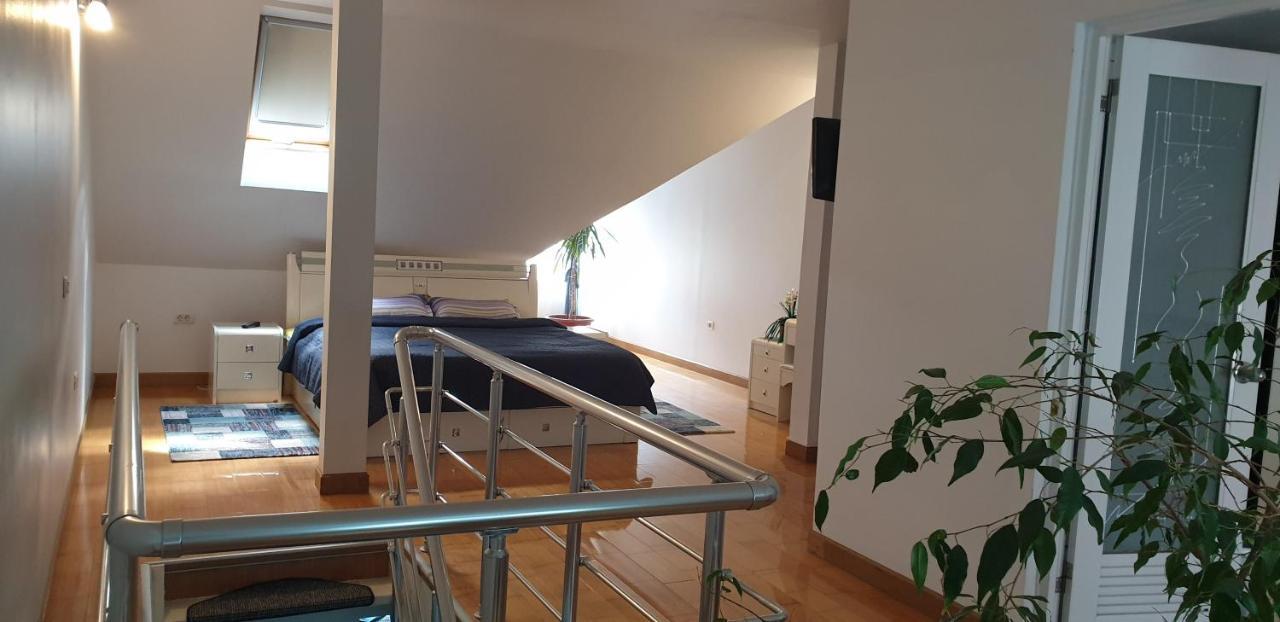 Vila Roxy Poiana Braşov Dış mekan fotoğraf